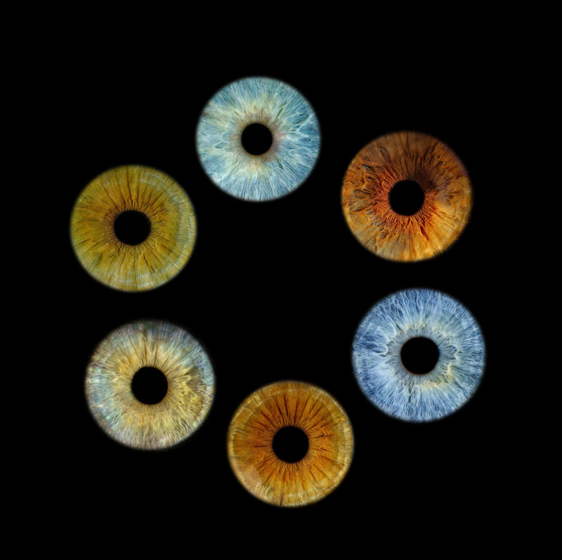 Composite image of a family's irises displayed in circle collage